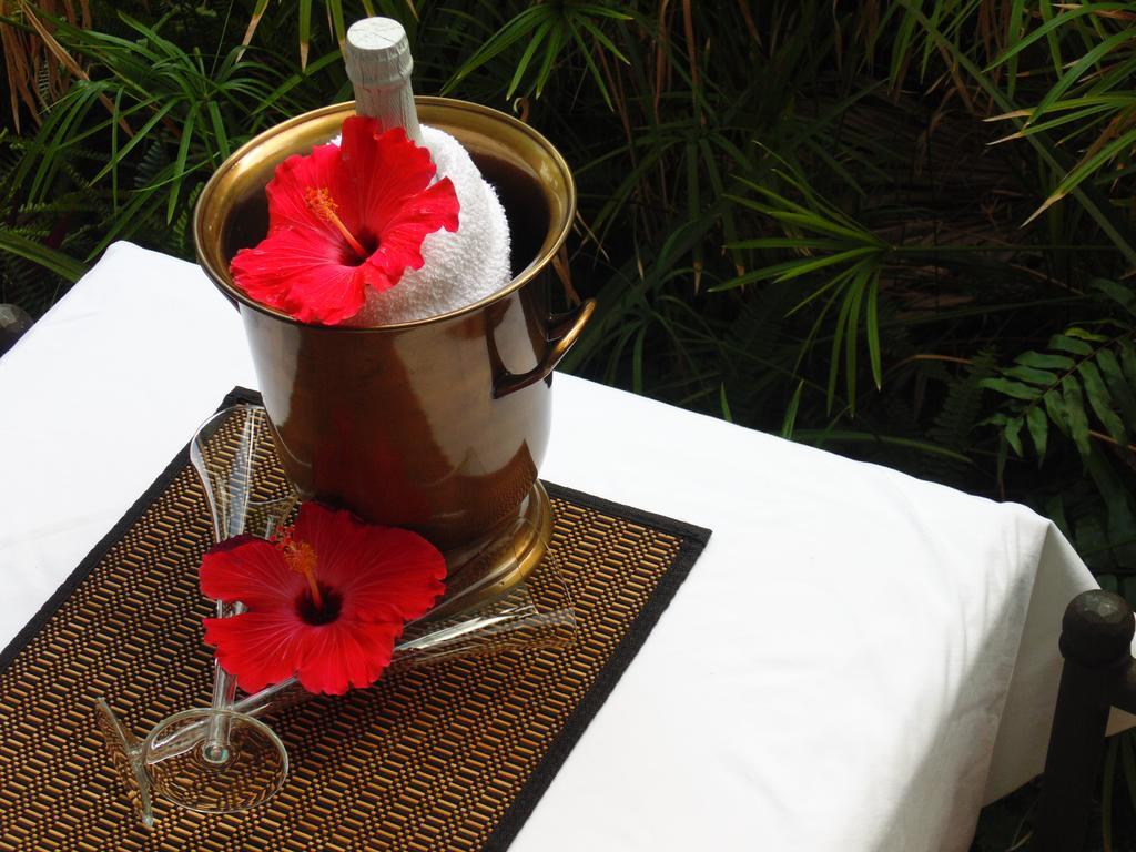 Cheston House - Clothing Optional All Male Guesthouse Fort Lauderdale Exteriör bild